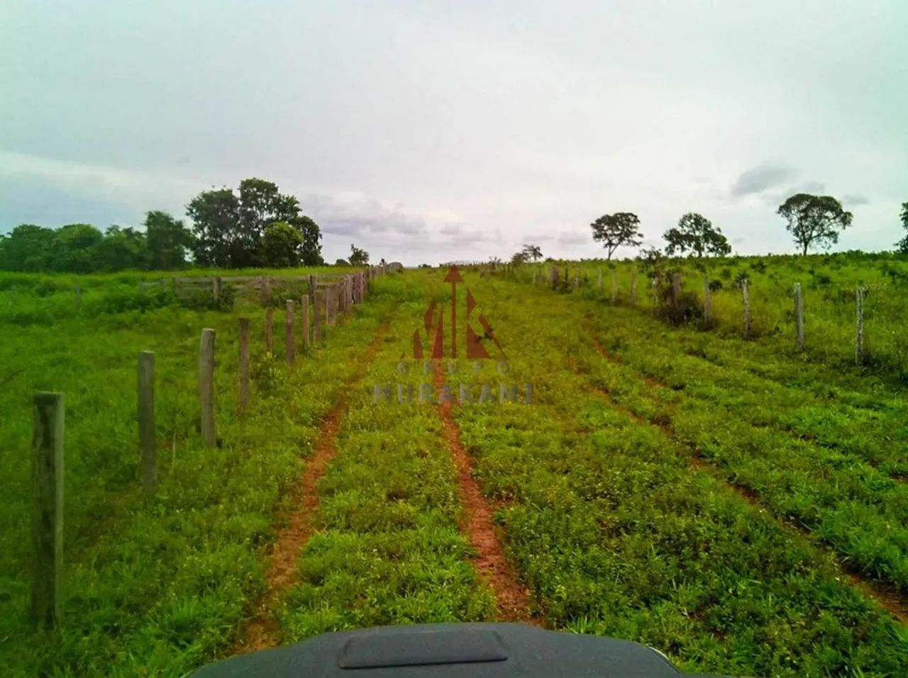 FAZENDA - PARANATINGA - MT