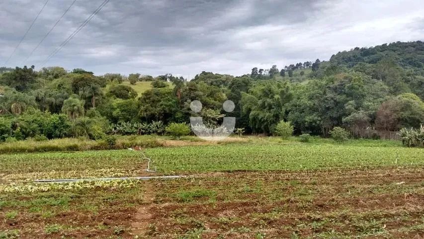 Chácara à Venda Ciriaco Piedade SP - Foto 3