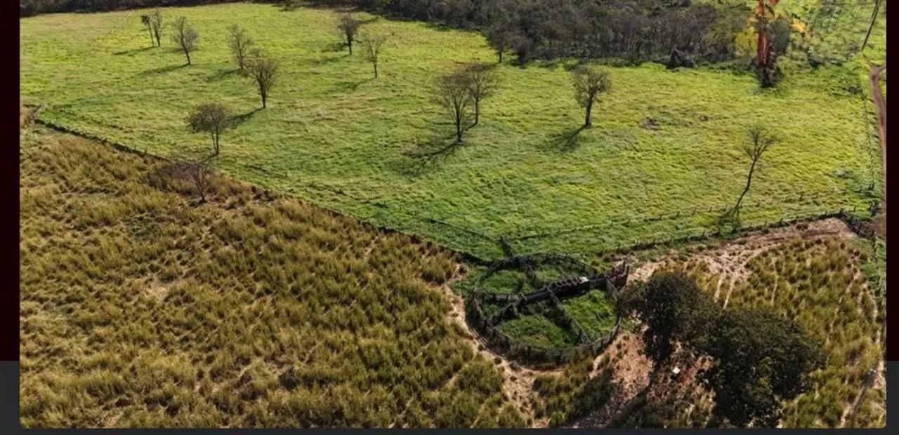 Aluguel de pasto - Foto 2