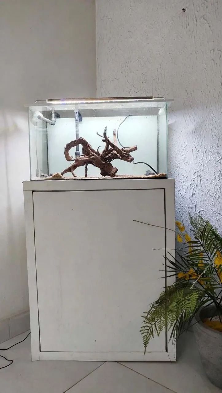 Aquário com acessórios 