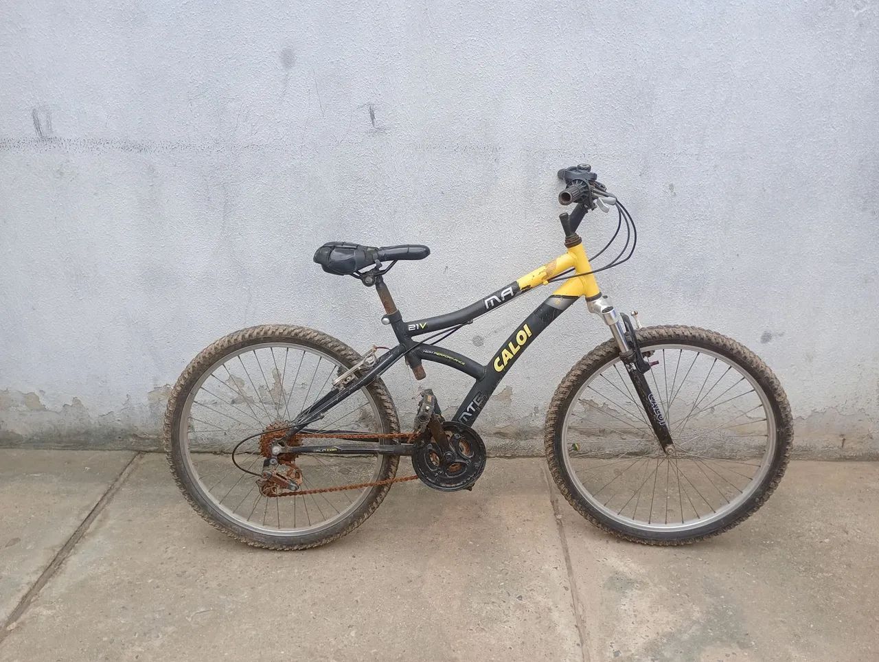 Bicicleta 
