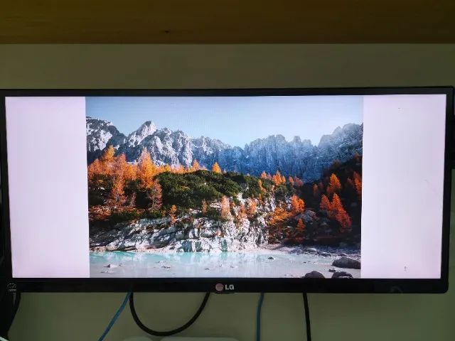 Monitor LG UltraWide 25" IPS (25UM65) - Funcionando Perfeitamente