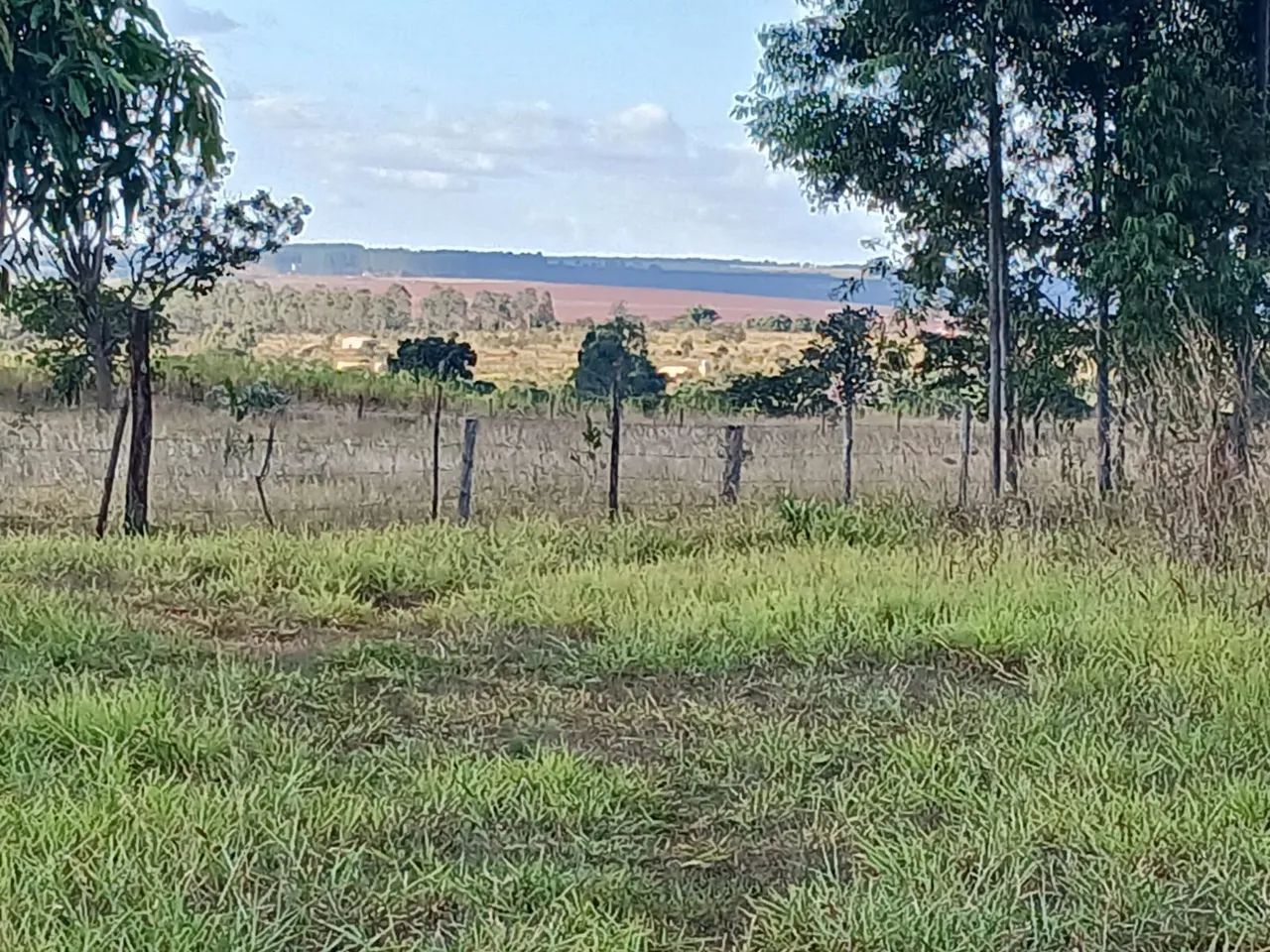 Foto - Uberlândia - Área Rural de Uberlândia