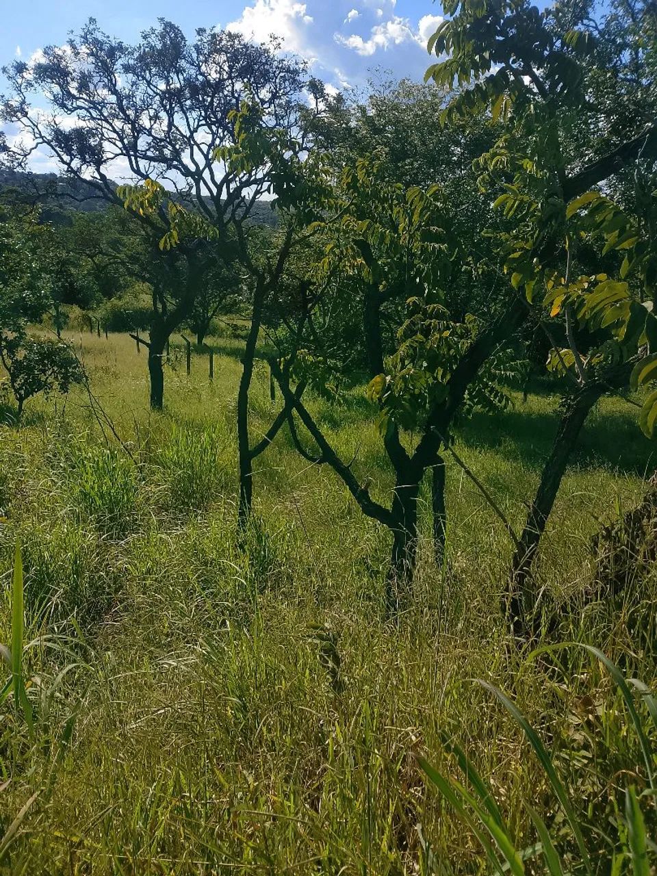 Lote360m² em sete lagoas bairro Varginha  - Foto 4