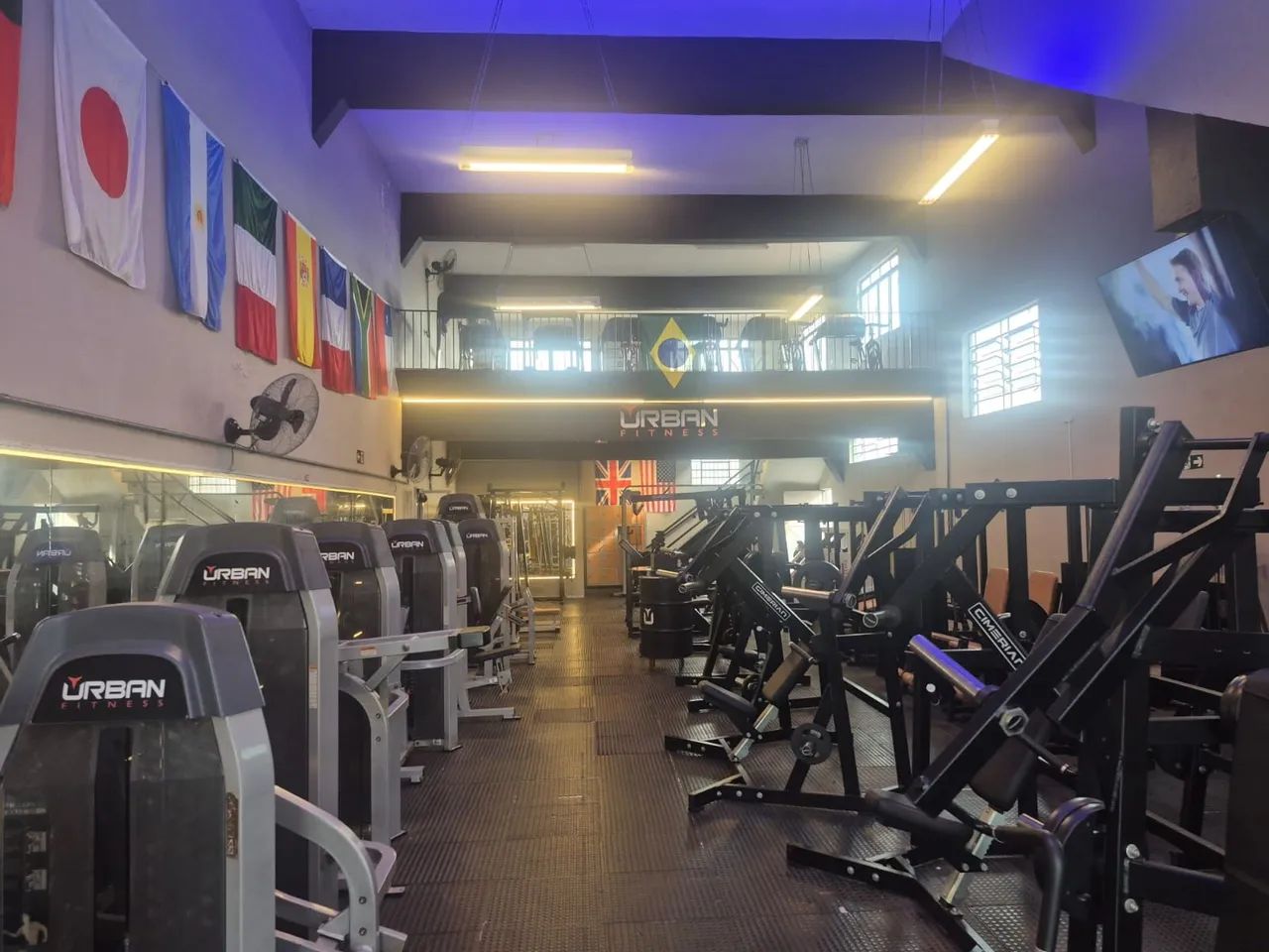 Lote de equipamentos de musculação e cárdio 