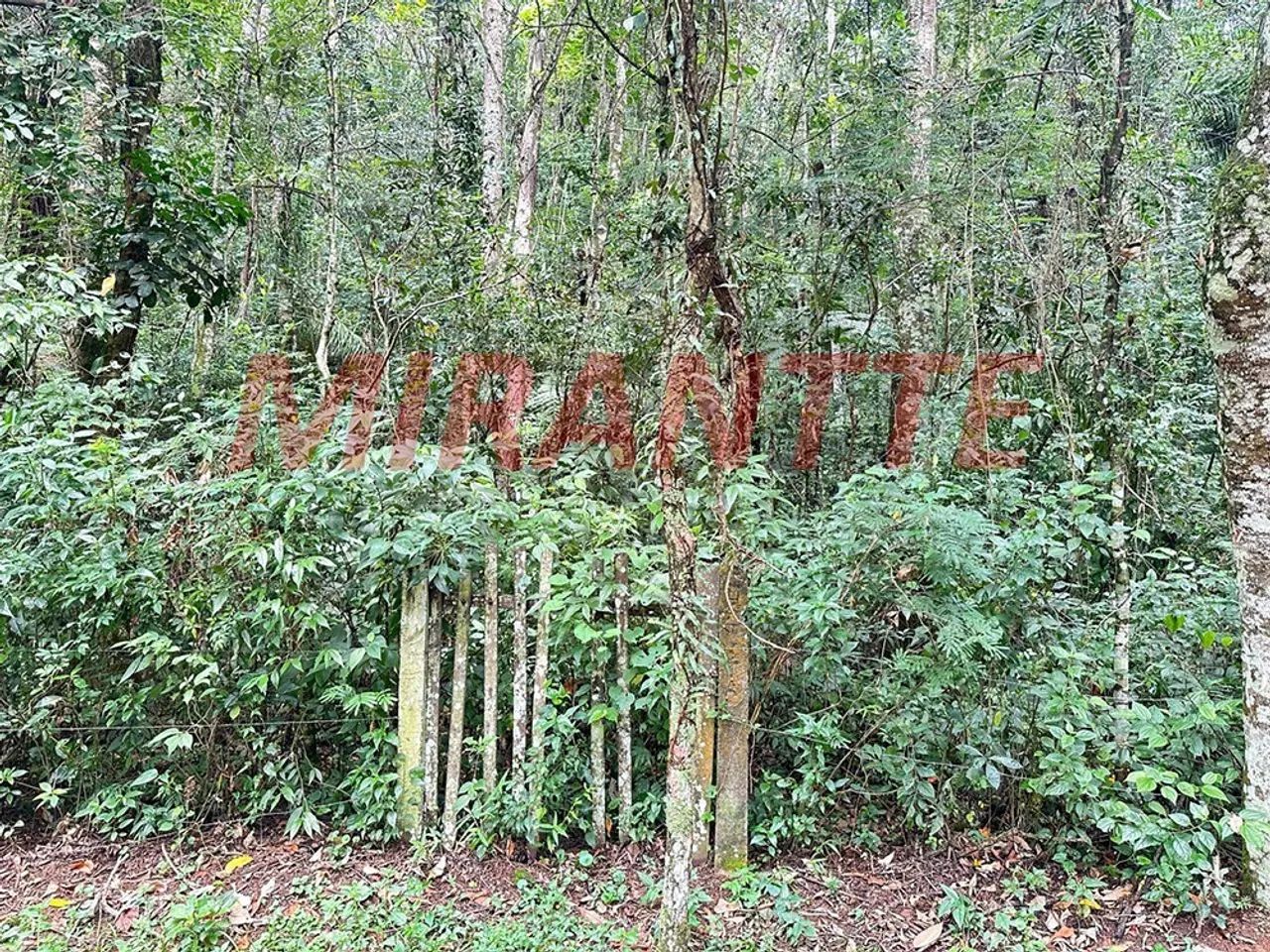 Outros em Caraguata - Foto 2