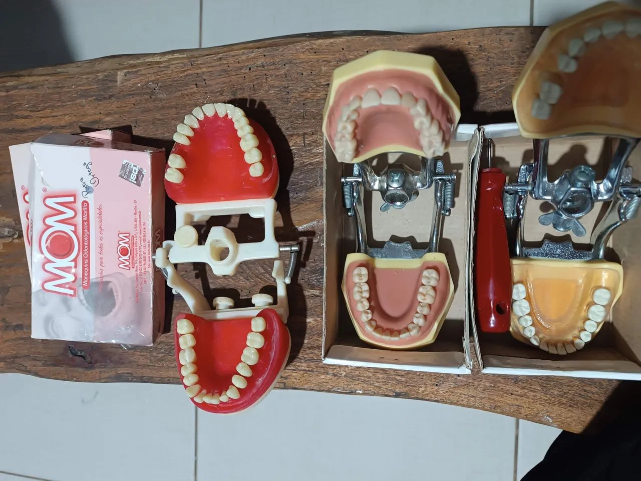 Manequim odontológico 