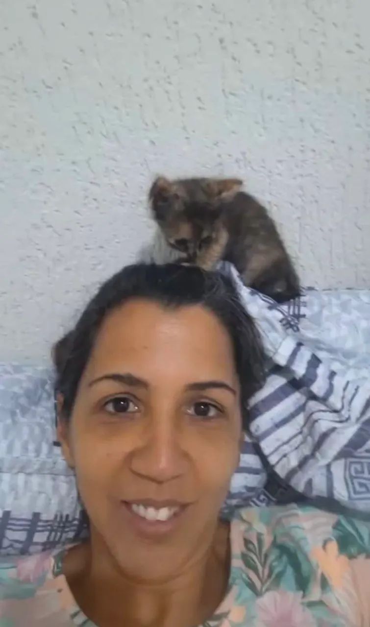 Gata  - Foto 5