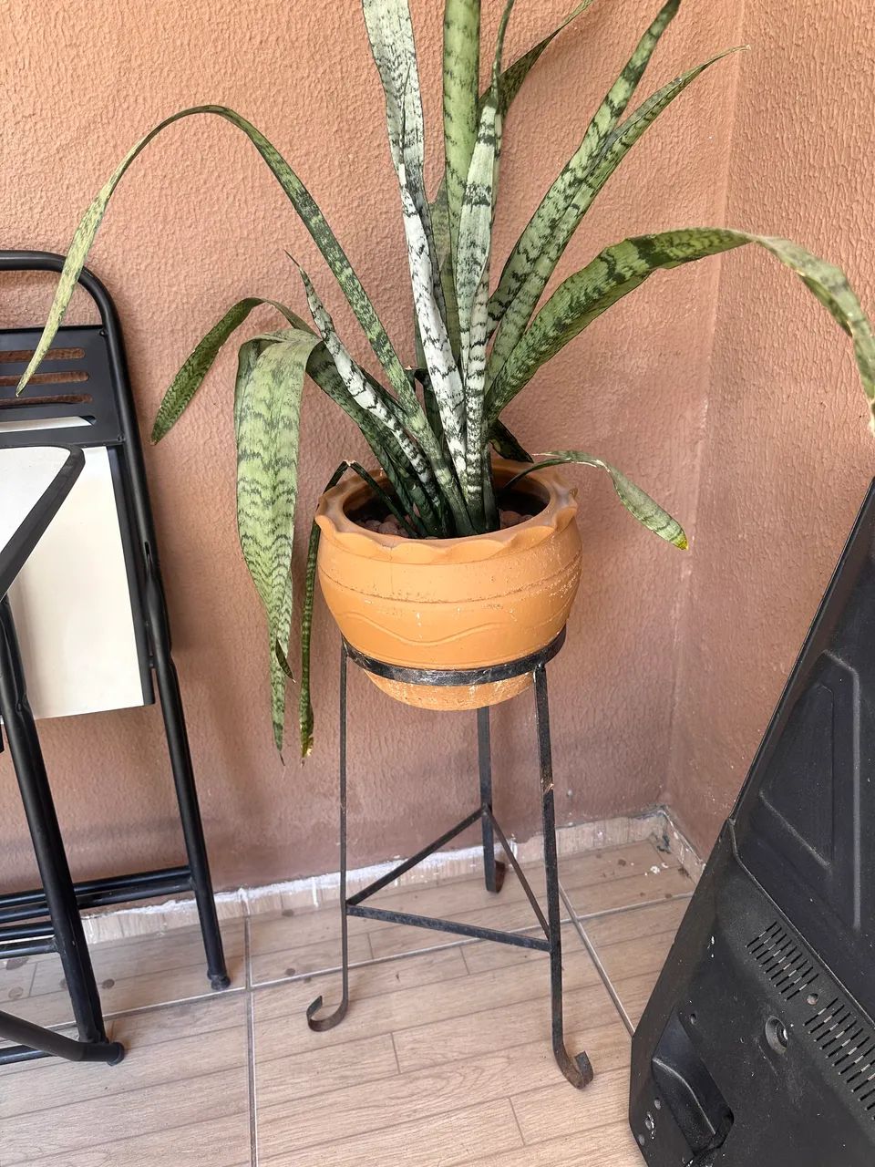 Vaso de planta 