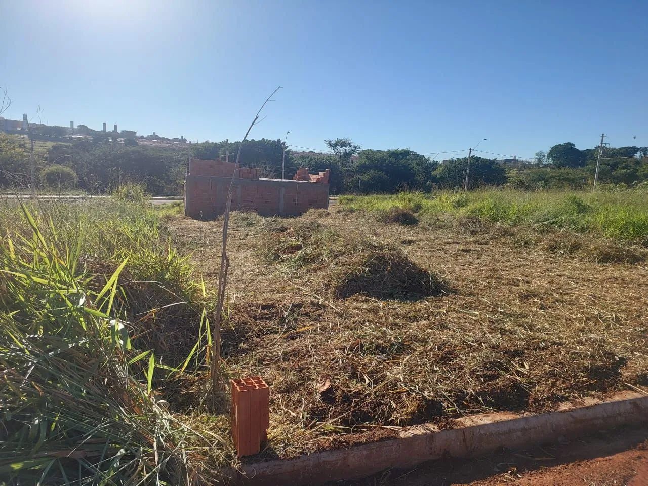 Terreno  - Foto 2
