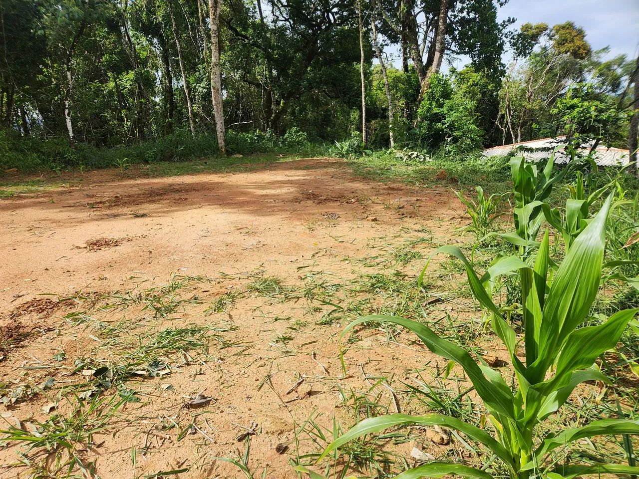 Foto - Nazaré Paulista - 