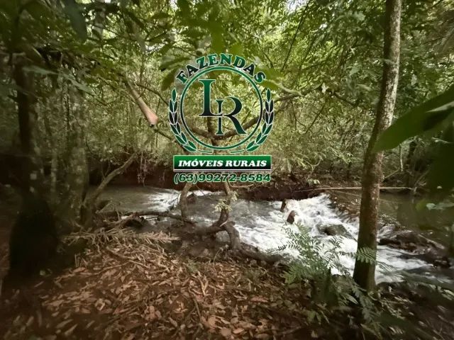 Chácara Taquaruçu Grande Área de 43000M² Bruta - Foto 4