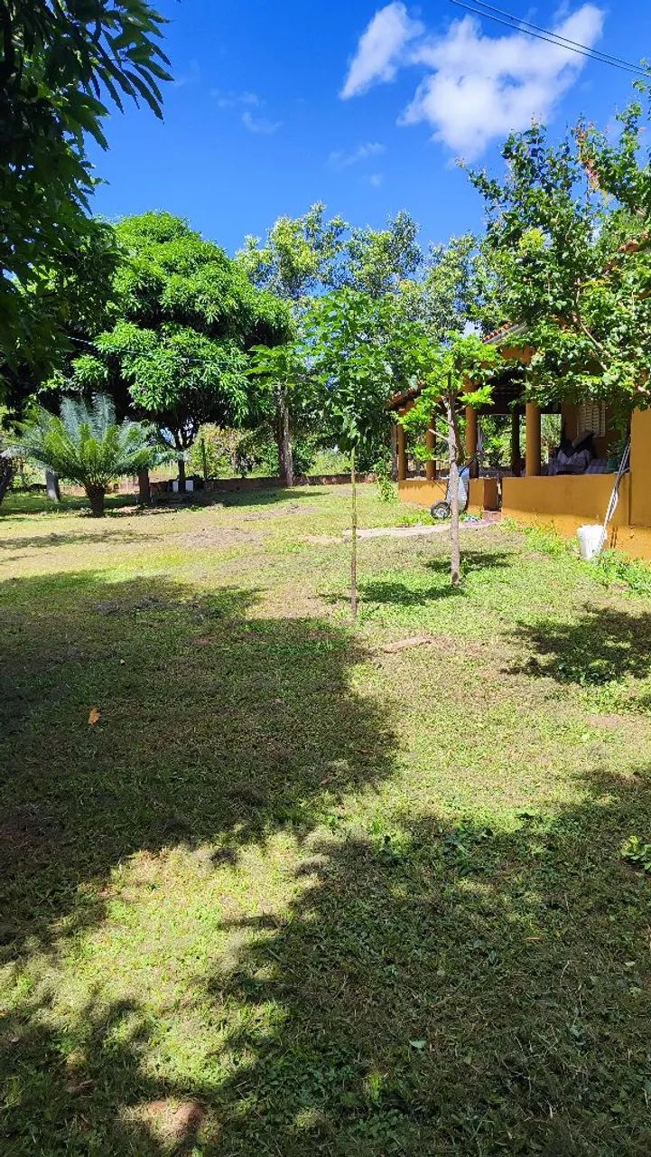 FAZENDA A  VENDA EM POSSE/GO 