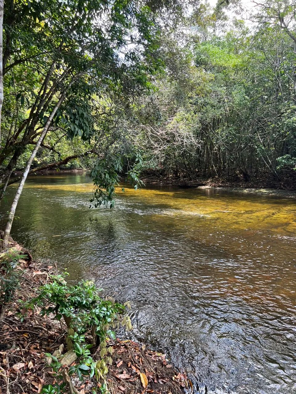 Terreno com corredeira privativa - Foto 4