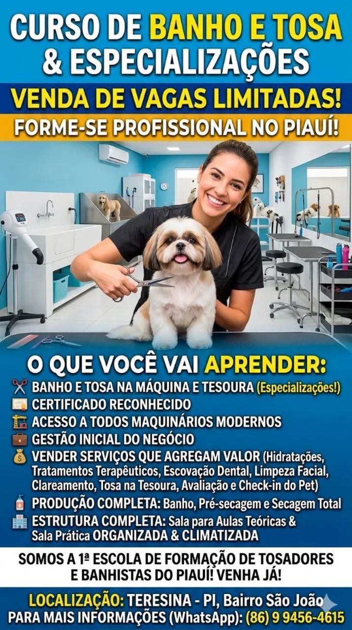 Shih tzus disponíveis, trabalhamos com vendas de cães e gatos de todas raças as raças  - Foto 5