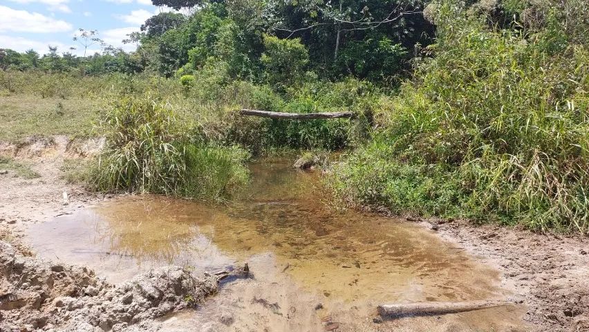 Fazenda em Joaquim Gomes   - Foto 4