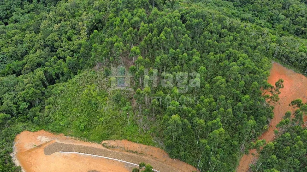 Terreno à venda em Canelinha - Foto 3