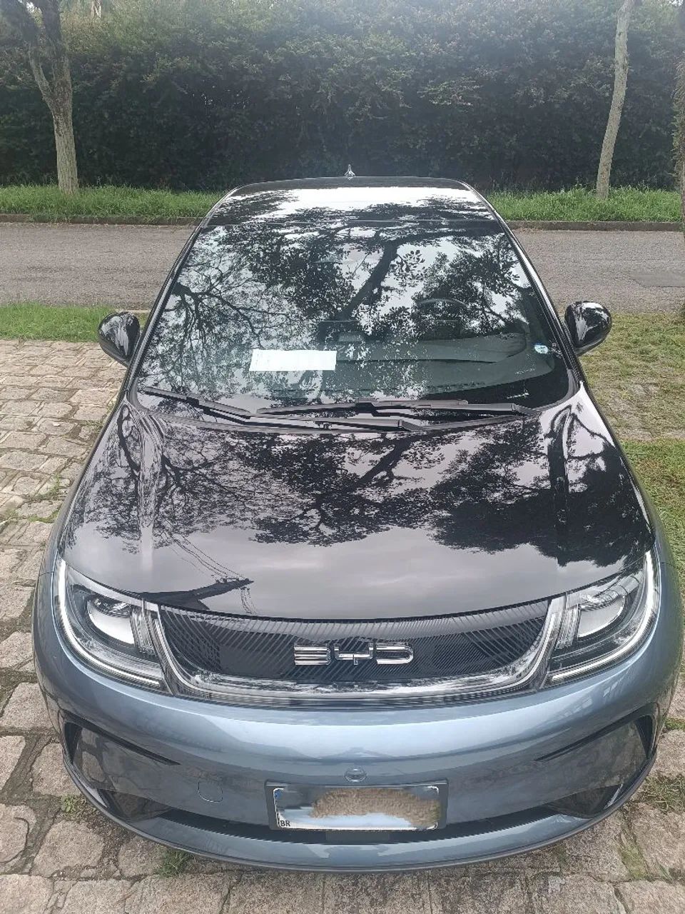 BYD BYD Plus (Elétrico)