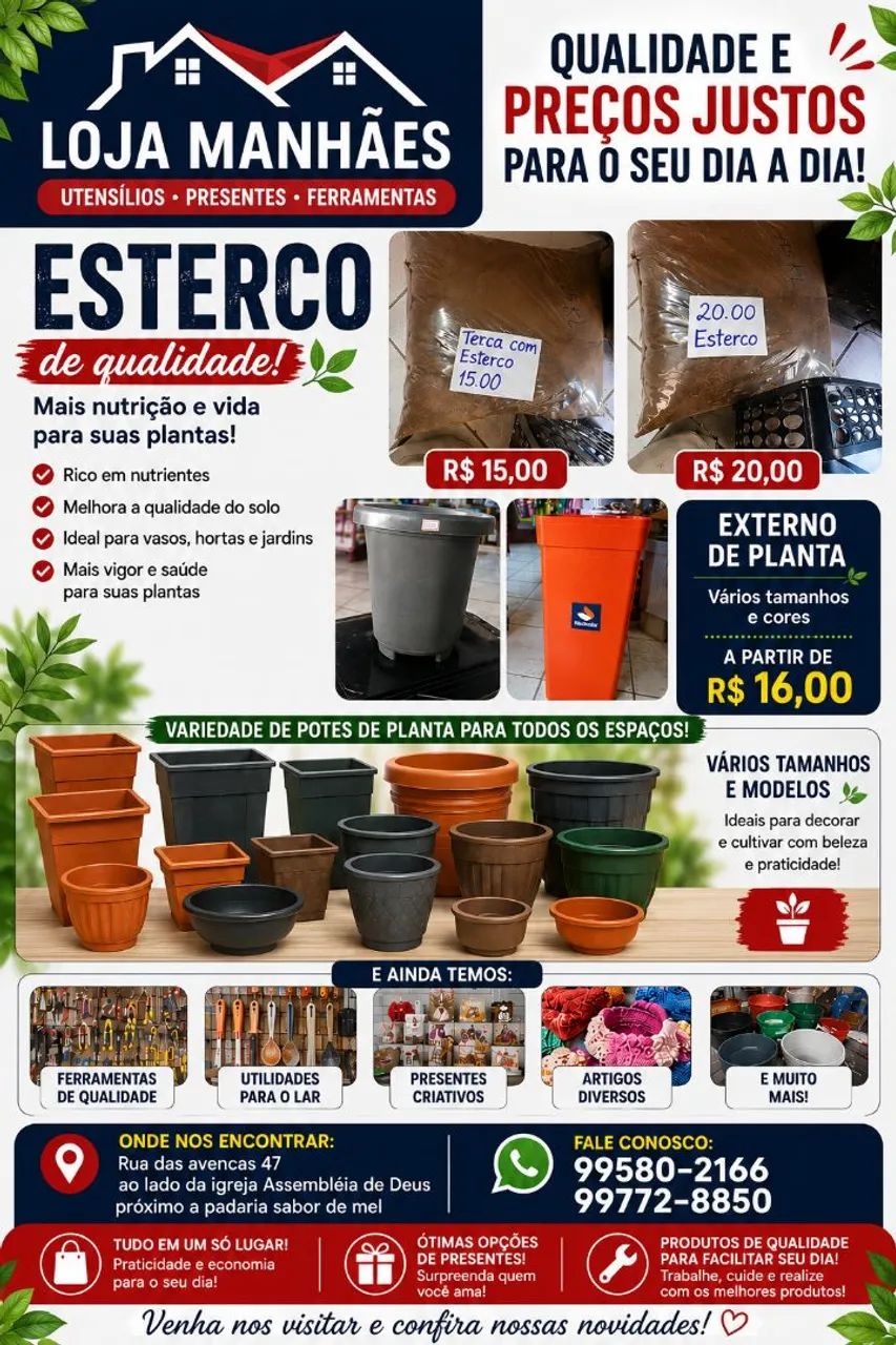 Vasos de plantas 