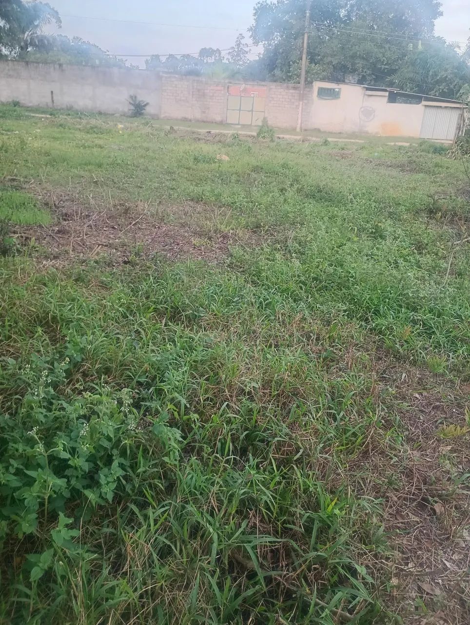 Terreno