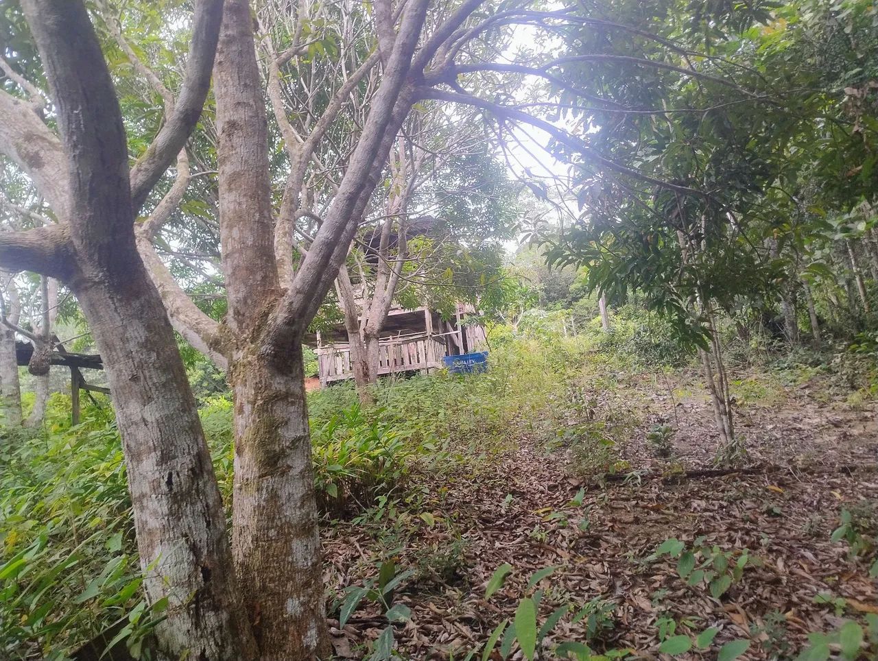 Sítio muito bom pra relaxar  - Foto 2