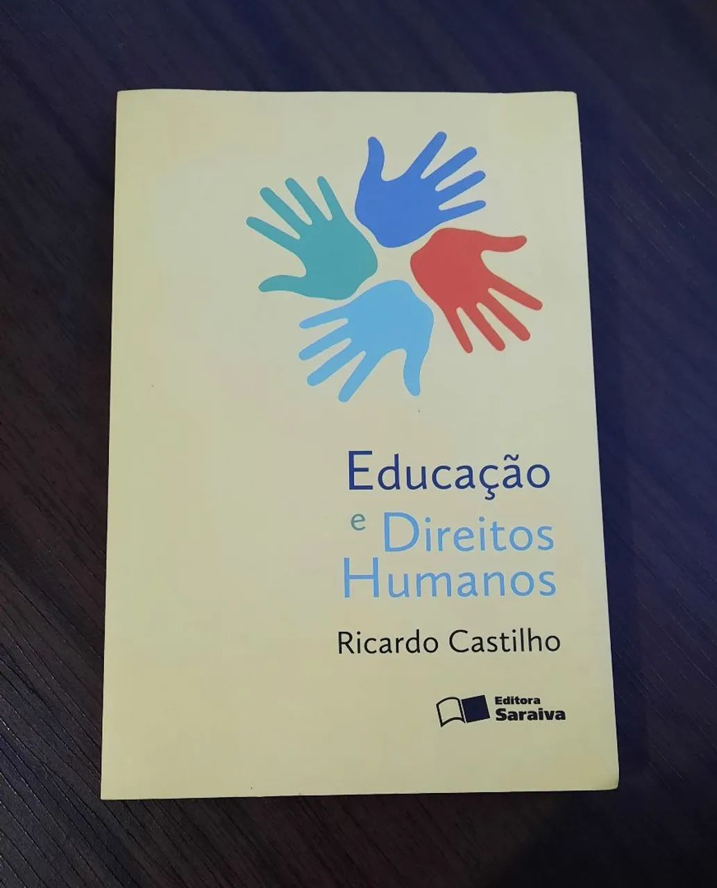 Educação e Direitos Humanos - Ricardo Castilho