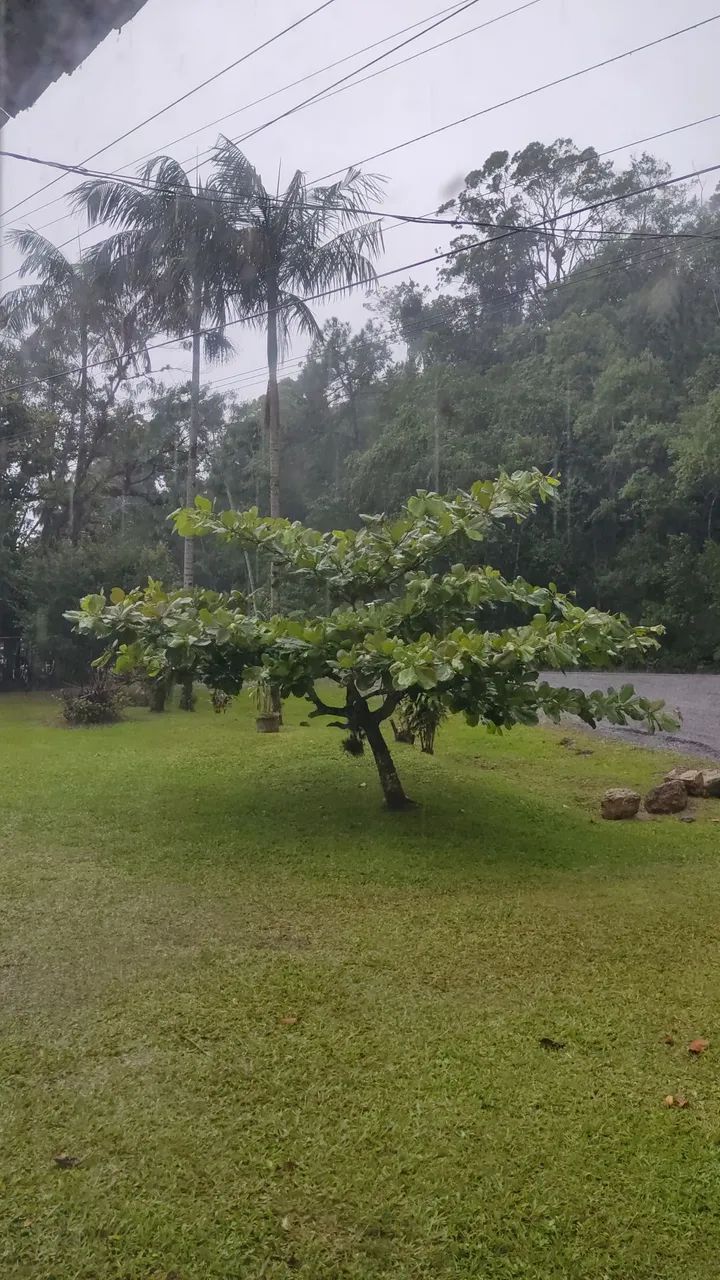 Vende-se de casa com terreno grande  - Foto 4