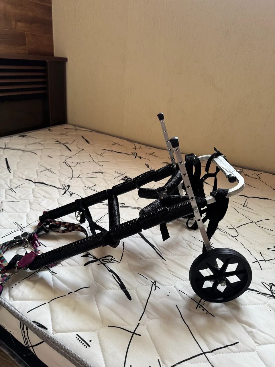 Cadeira de rodas pet 