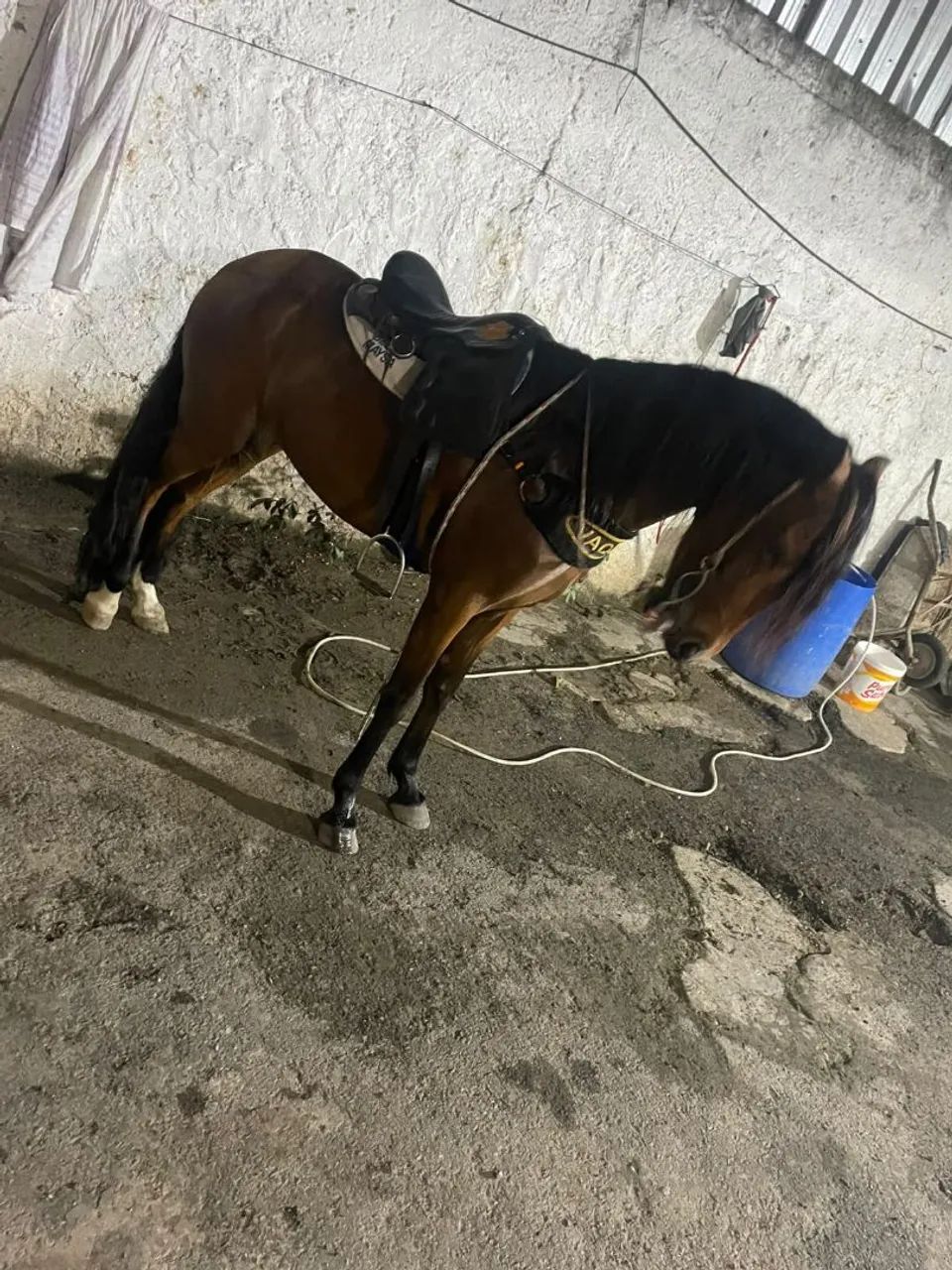 Vender rapido - Foto 2