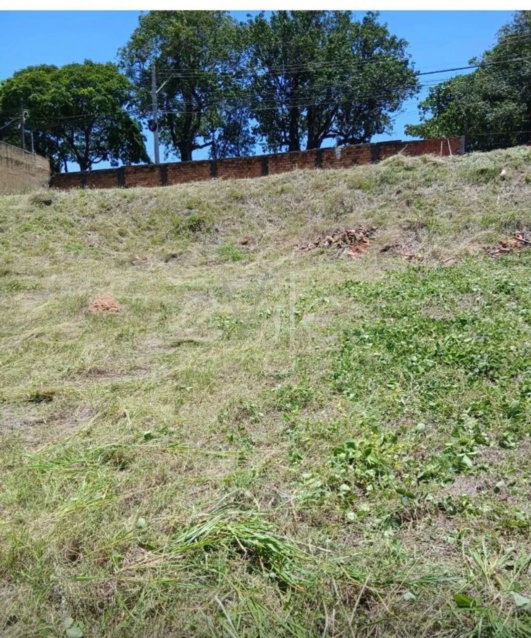 terreno - Jardim Chapadão - Campinas - Foto 5