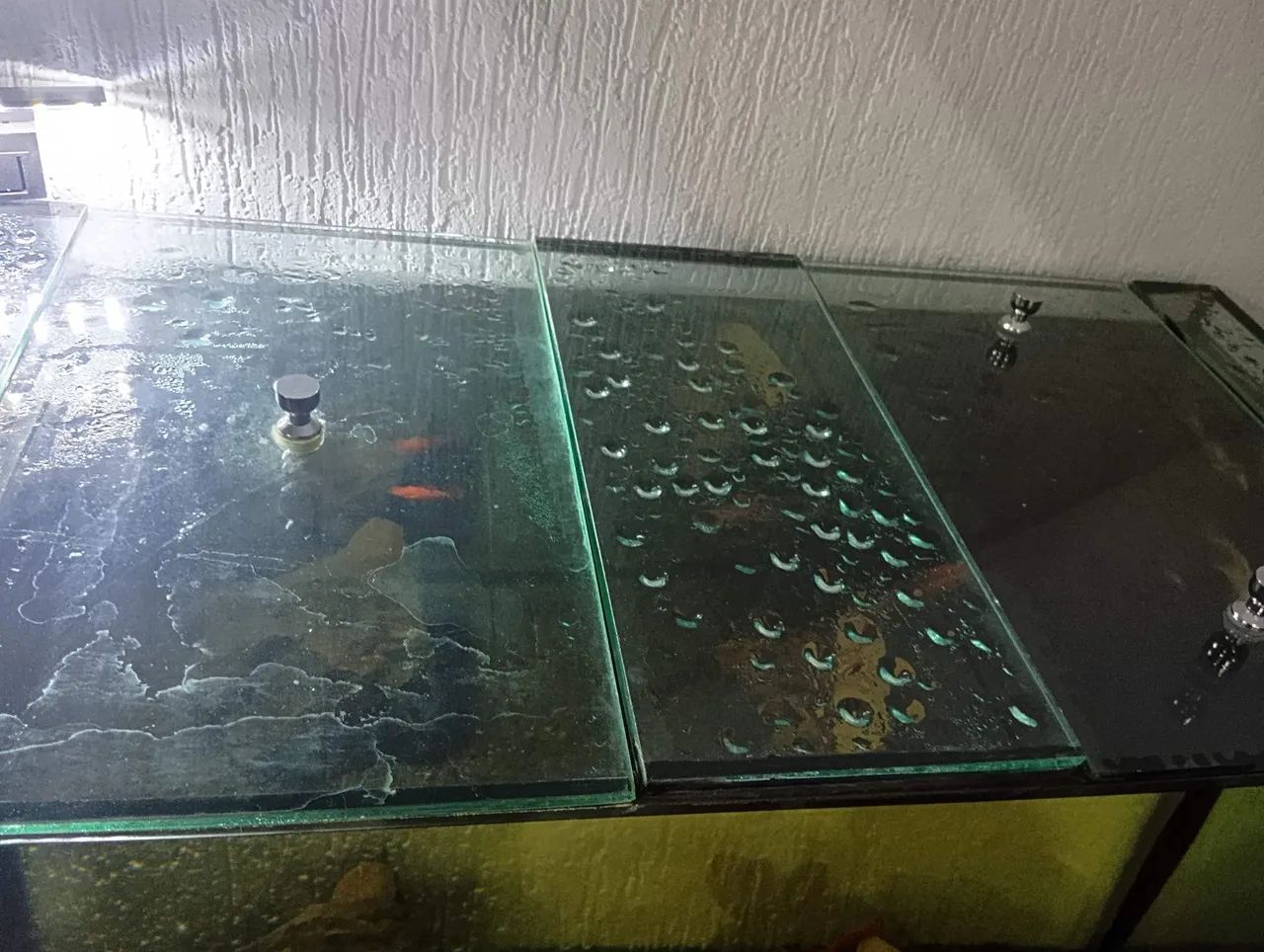 SUMP 200L VIDRO 10MM - Foto 4