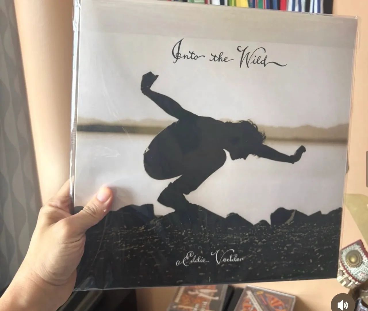 Lp Eddie Vedder ? into the wild ? importado  