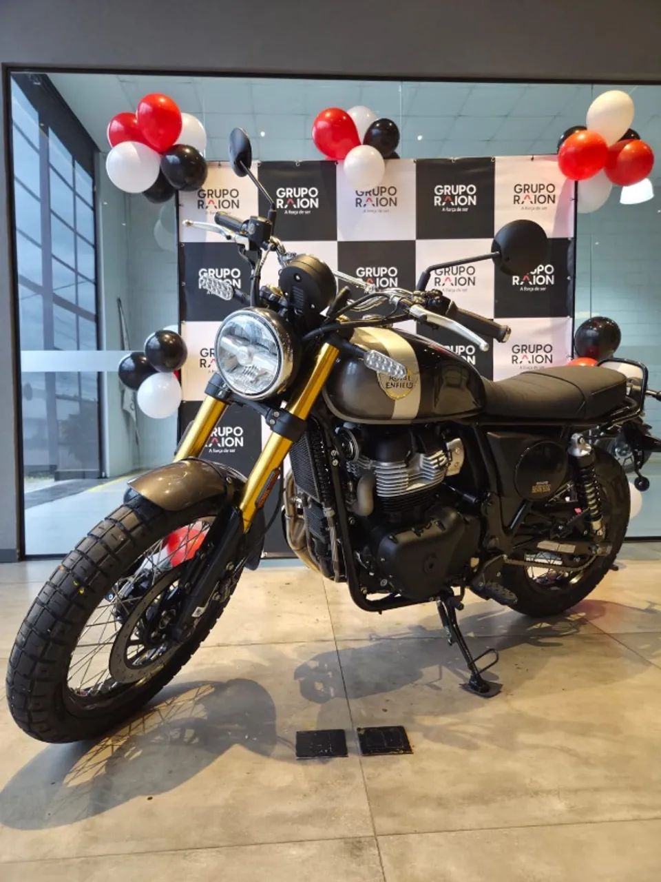 AM -INTERCEPTOR BEAR 650cc GOLDEN SHADOW