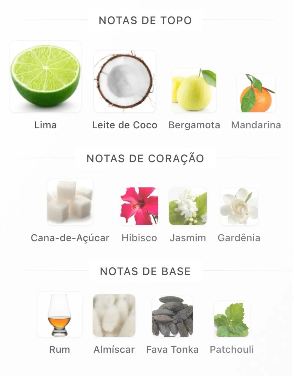 Perfume Rayhaan Aquatica Edp 100ml - Foto 4