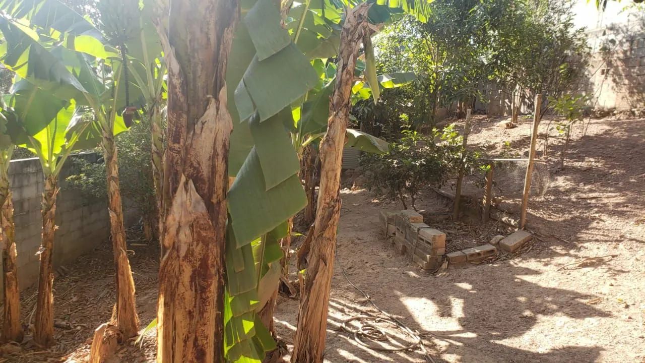 Vendo lote Tanguara, Mario Campos com barracão  - Foto 3