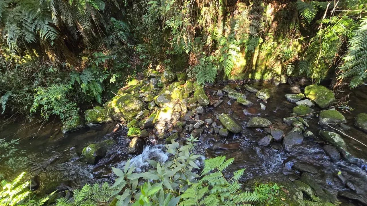 Belíssimo imóvel pronto para morar - Foto 4