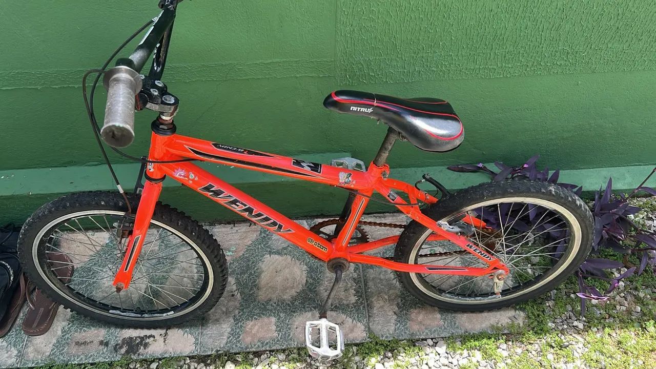 Bicicleta
