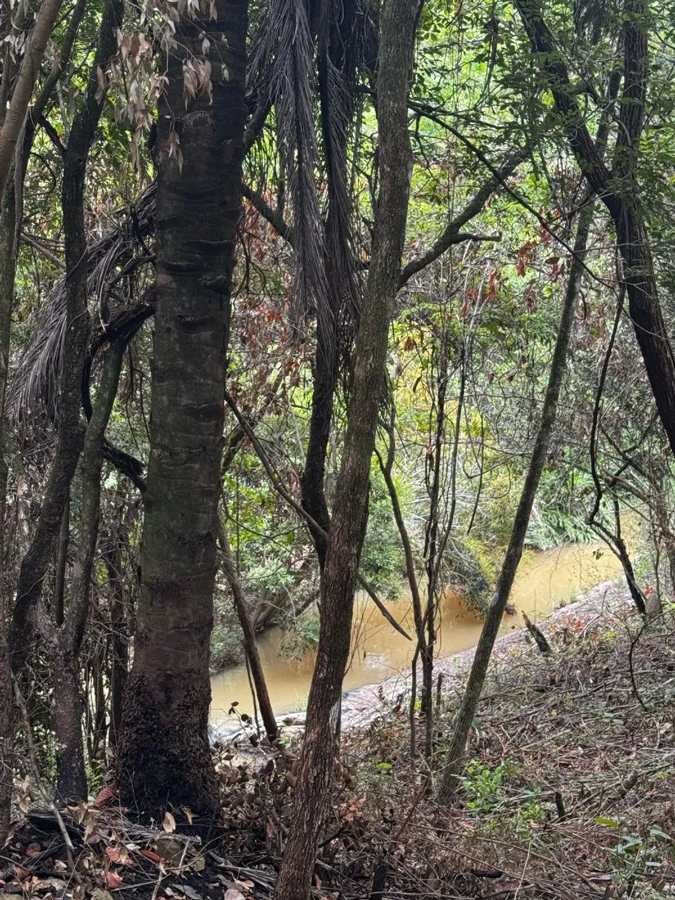 Chácara em Taquaraçu De Minas  - Foto 4
