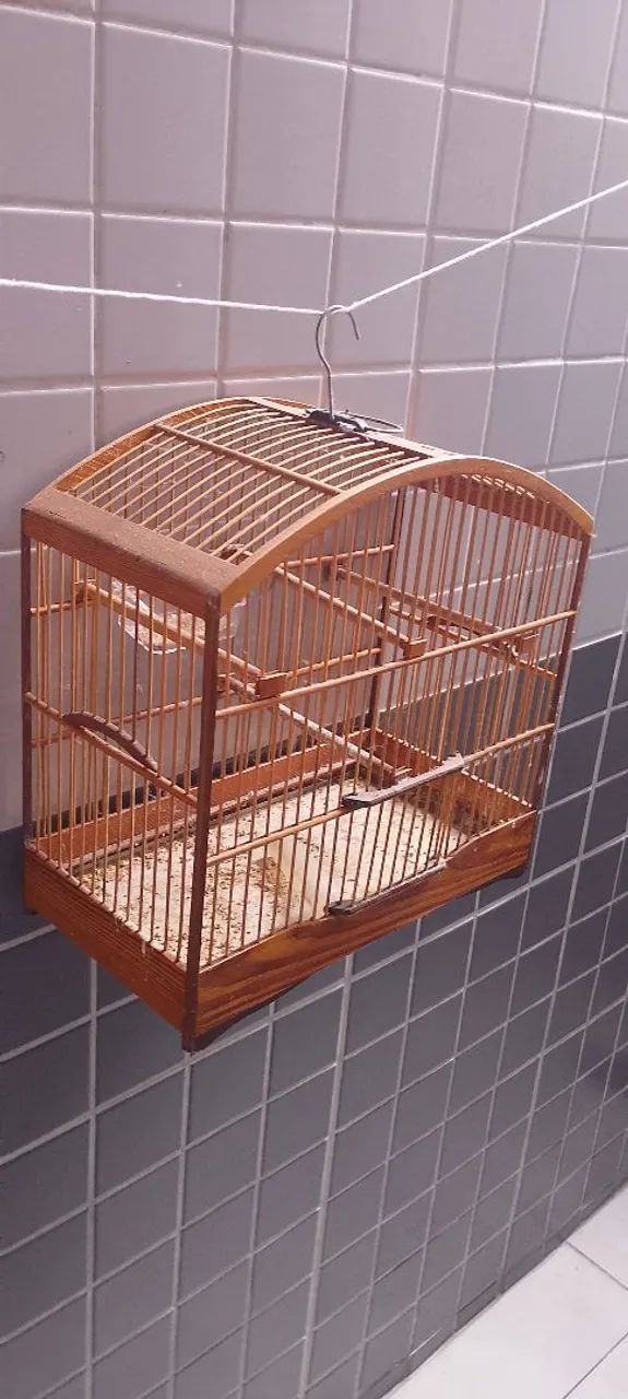 Gaiolas 