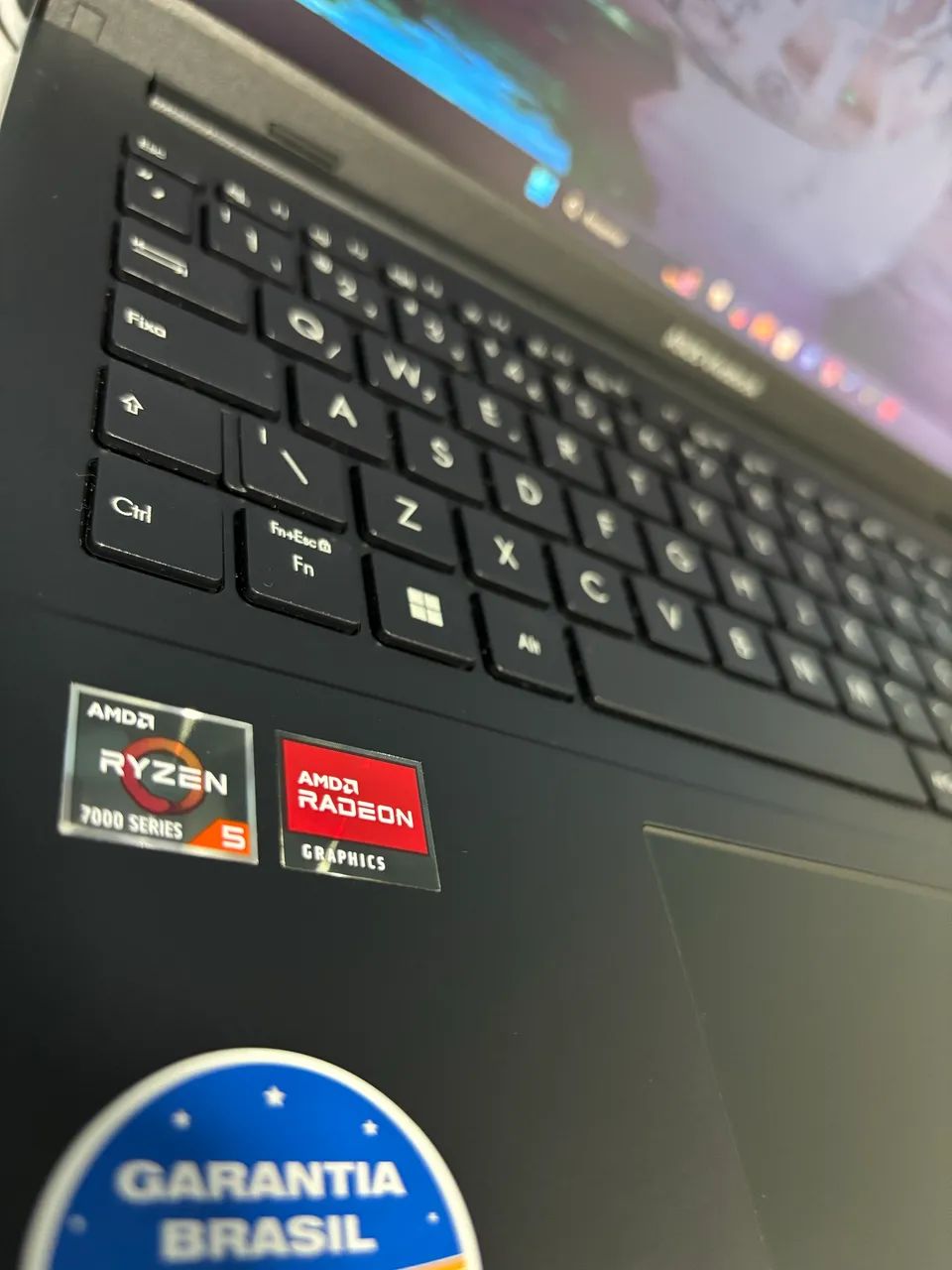 Notebook Asus Ryzen 5 08GB RAM DDR5 SSD NVME 256GB TELA 15.6 OLED