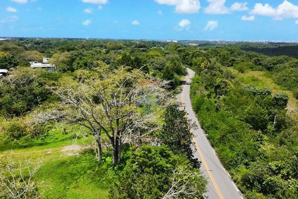 Terreno Amplo e Estratégico em Guabiraba, Recife - Foto 4