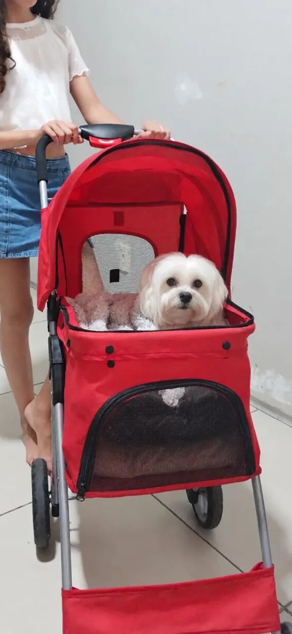 CARRINHO PET