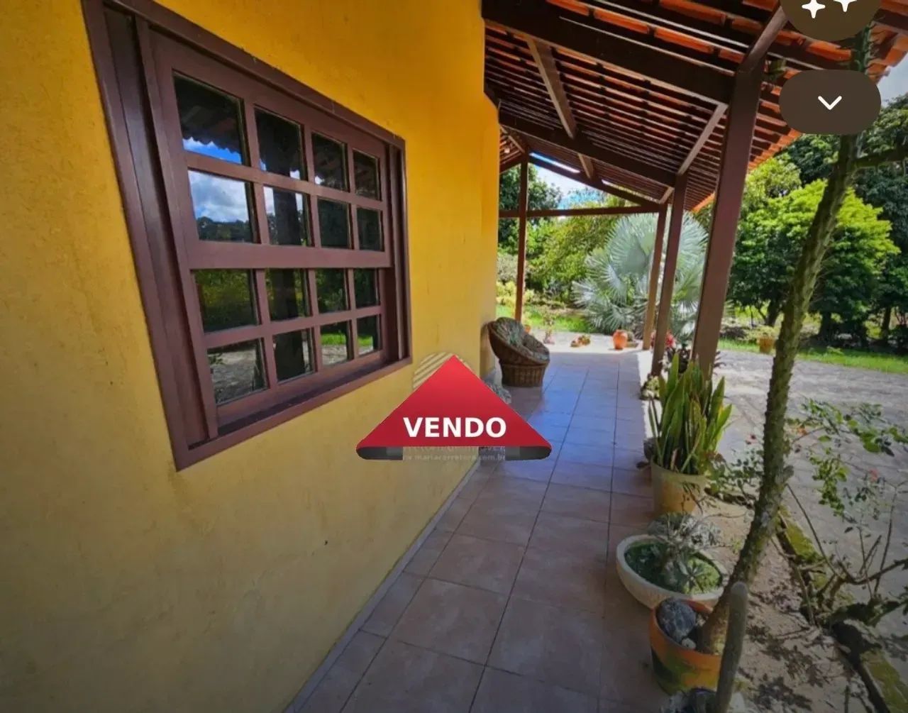 Chácara para venda - Sairé - PE - Foto 4