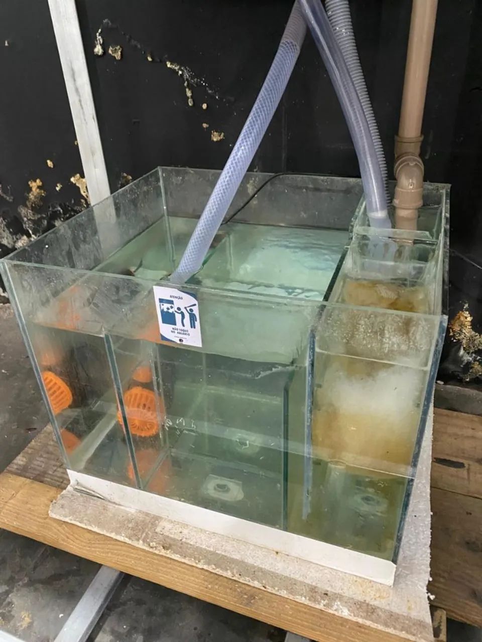 Aquário Completo  - Foto 5