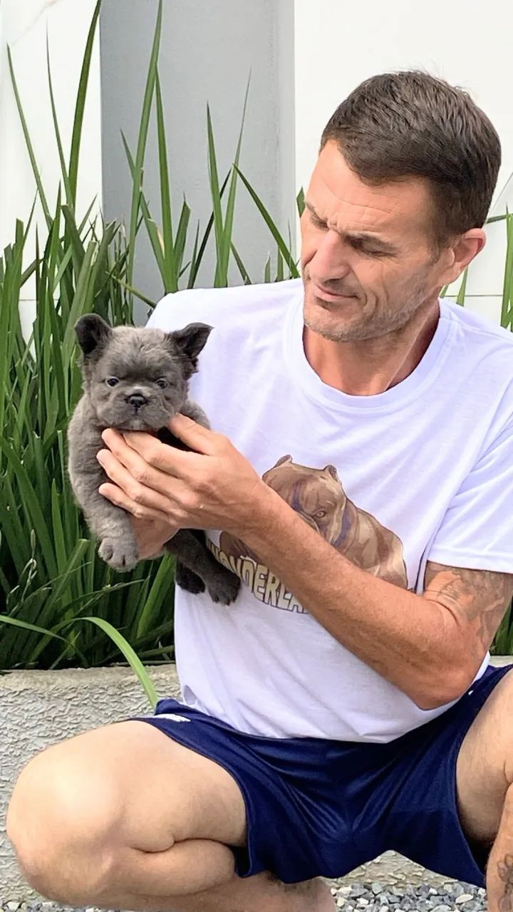 FILHOTE DE BULDOGUE FRANCÊS FLUFFY - Foto 4