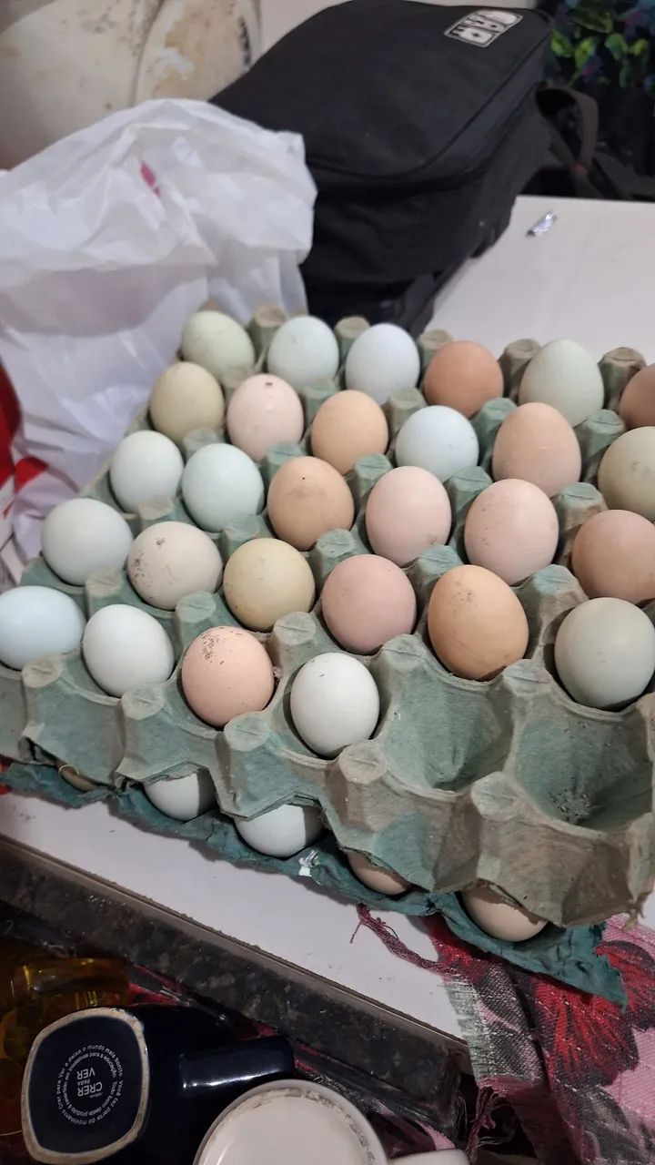 Ovos 