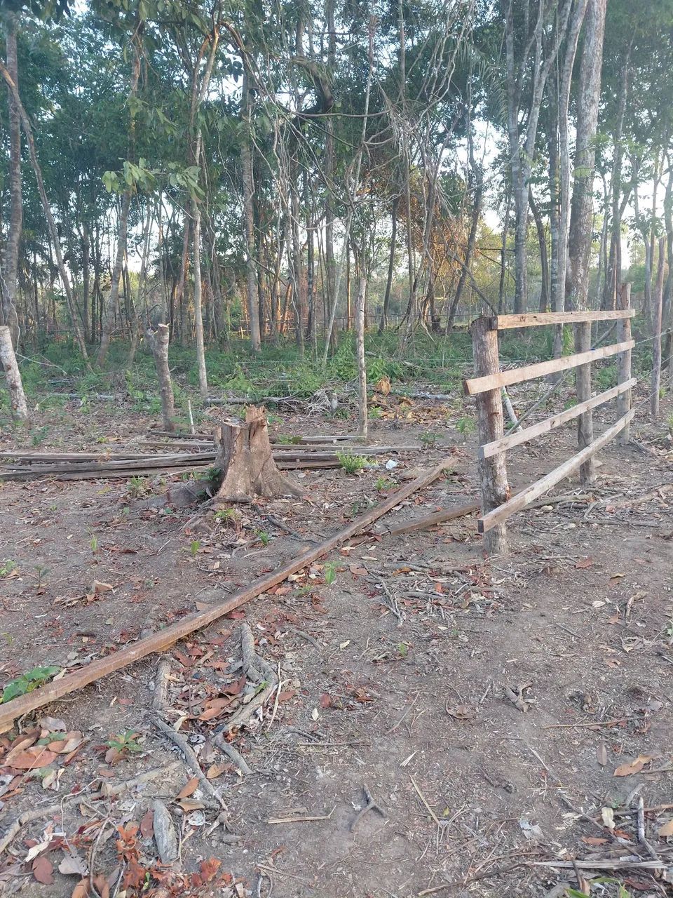 Terreno goiabal  - Foto 2