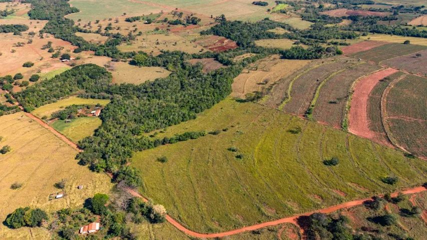 Sítio a venda  - Foto 5