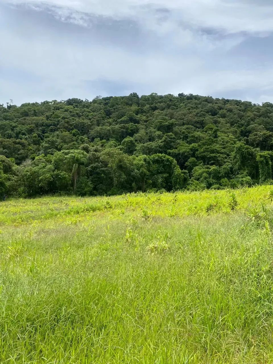 Imóvel para venda com 1000 metros quadrados em Rio de Una - Ibiúna - SP - Foto 8
