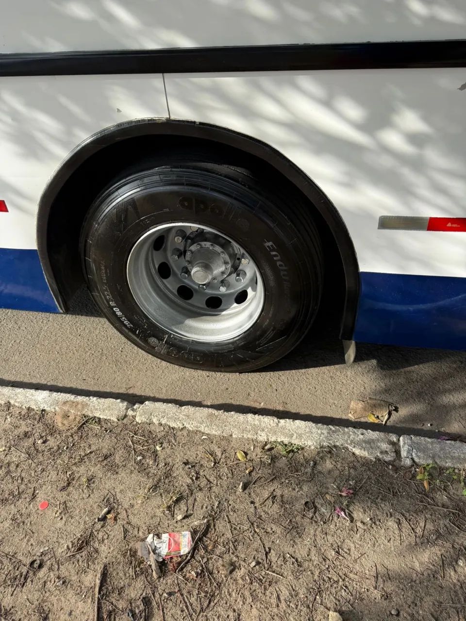  ônibus Buscar scania 113  - Foto 11